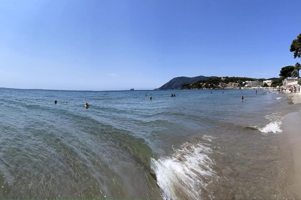 La Perle De Toulon Apartment ภายนอก รูปภาพ